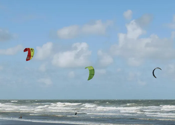 Residentie Xavier Ref 80 * 奥斯滕德